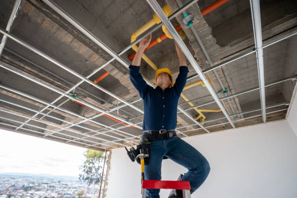 Best Local Plumber Services  in Pine Valley, CA