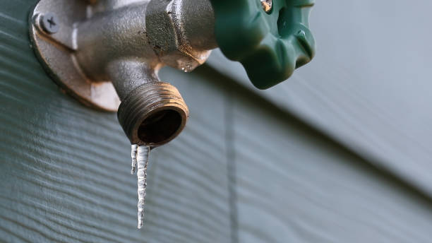 Best Clogged Drain Plumber  in Pine Valley, CA